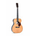 Гітара ак. Sigma Standard Series S000R-28MT з м'яким кейсом