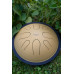 Глюкофон Meinl Sonic Energy CSTD3G Steel Tongue Drum D-Minor (10
