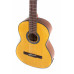 VG500160742 Ел. клас. гітара GEWA Student E-Classic 4/4 Natural