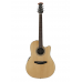 OV531140 Гітара електроакустична Ovation Celebrity Standard Mid Cutaway