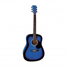 PS501305 BB Гітара ак. VGS-Pure D-1