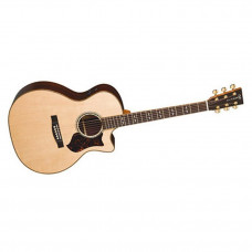 Гітара Martin GPCPA1 (з футляром)