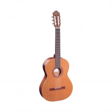 Гітара клас. Ortega R180 з чохлом OCGB-44