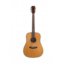 Акустична гітара Prima DSAG219