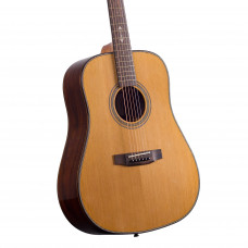 Акустична гітара Prima MAG219