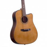 Акустична гітара Prima MAG219cQ