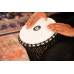Джембе Meinl Rope Tuned Travel PADJ6-L-F (12