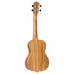 Укулеле Ortega Timber Series RFU11Z Concert Zebrawood (з чохлом)