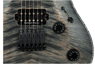 Mayones Regius 6 Body