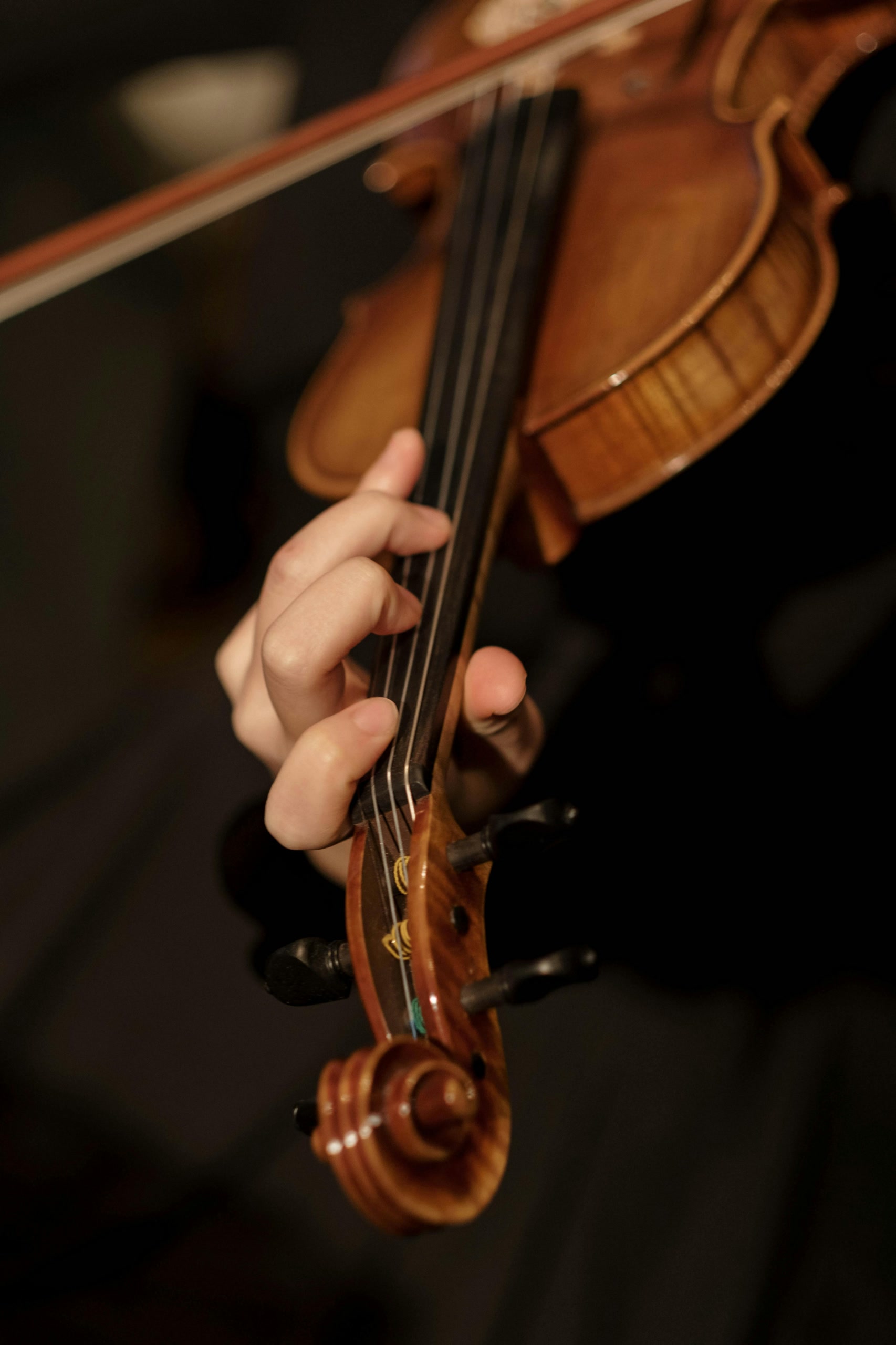 Скрипка Gewa Maestro 1 4/4 (комплект)