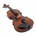 Скрипка STENTOR 1542/E GRADUATE VIOLIN OUTFIT 1/2