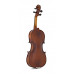 Скрипка STENTOR 1542/E GRADUATE VIOLIN OUTFIT 1/2