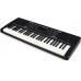 Синтезатор ALESIS HARMONY 54