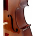 Віолончель STENTOR 1108/C STUDENT II CELLO OUTFIT 3/4