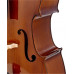 Віолончель STENTOR 1102/A STUDENT I CELLO OUTFIT 4/4