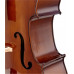 Віолончель STENTOR 1108/A STUDENT II CELLO OUTFIT 4/4