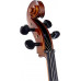 Віолончель STENTOR 1108/A STUDENT II CELLO OUTFIT 4/4