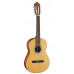 CORT AC70 (Open Pore) w/Bag