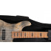 Чохол для гітари CORT CPEB100 Premium Soft-Side Bag Bass Guitar