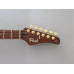 Електрогітара FGN EOS2-EW1-RM ODYSSEY EXPERT SERIES (Hojicha Burst)