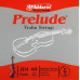 Струни для смичкових інструментів D'ADDARIO PRELUDE VIOLIN SINGLE G STRING 4/4 Scale Medium Tension