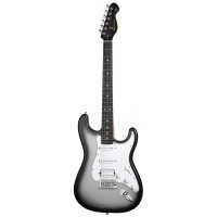 Електрогітара MOOER MSC12 Pro (Iron Silver)