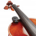 Тюнер, метроном D'ADDARIO PW-CT-14 Micro Violin Tuner
