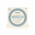 Струни для мандоліни D'ADDARIO EJ62 MANDOLIN 80/20 BRONZE LIGHT (10-34)