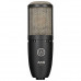 AKG P220