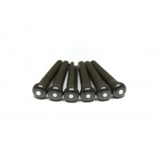 GRAPH TECH PP-2122-00 TUSQ Bridge Pins Martin Style 2mm Black / White Dot (6 Pcs) Набір кілочків