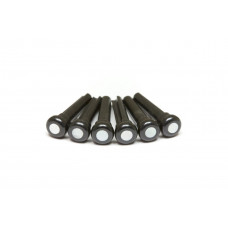 GRAPH TECH PP-2044-00 TUSQ Bridge Pins 4mm Black / Mother-of-Pearl (6 Pcs) Набір кілочків