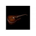 Гітара електроакустична ART&LUTHERIE Americana Bourbon Burst Presys II
