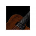 Гітара напівакустична GODIN A6 ULTRA Extreme Koa HG