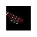 Гітара класична GODIN ACS Nylon Natural SG