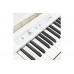 KORG LP-180 WH Цифрове піаніно
