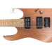 Електрогітара IBANEZ RG421 MOL