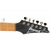 Електрогітара IBANEZ RG421 MOL