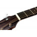 IBANEZ AW54CE OPN Гітара електроакустична