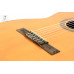 TAKAMINE GC1CE NAT Гітара класична