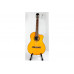 TAKAMINE GC1CE NAT Гітара класична