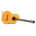 TAKAMINE GC1CE NAT Гітара класична