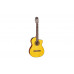 TAKAMINE GC3CE NAT Гітара класична