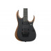 Электрогитара IBANEZ RGDR4327-NTF