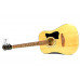 Гітарний набір з акустичною гітарою IBANEZ V50NJP NT
