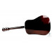 Гітарний набір з акустичною гітарою IBANEZ V50NJP NT