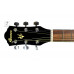 Гітарний набір з акустичною гітарою IBANEZ V50NJP NT