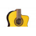 TAKAMINE GC5CE NAT Гітара класична