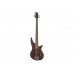 JACKSON JS3V SPECTRA LR WALNUT STAIN Бас-гітара
