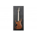 Електрогітара IBANEZ RGR5221-TFR