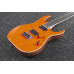 Електрогітара IBANEZ RGR5221-TFR